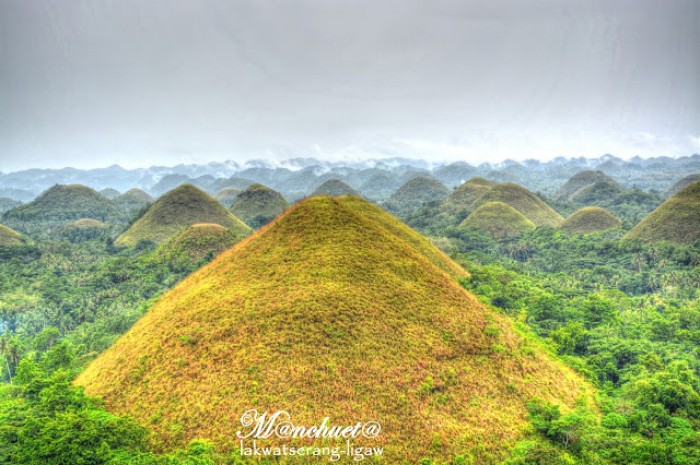 Chocolate Hills