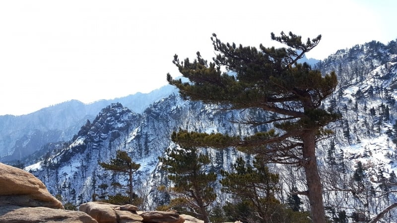 things to do in gangwon-do