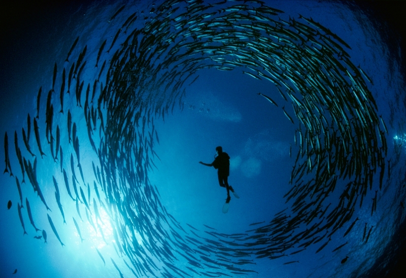 top-10-diving-spots-in-the-world-to-take-your-breath-away