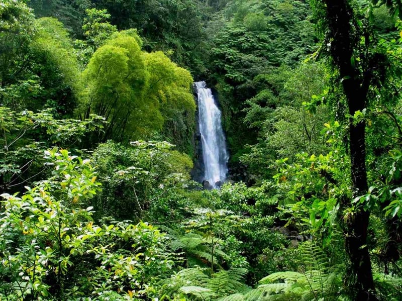 dominica trafalgar falls most underrated countries to visit