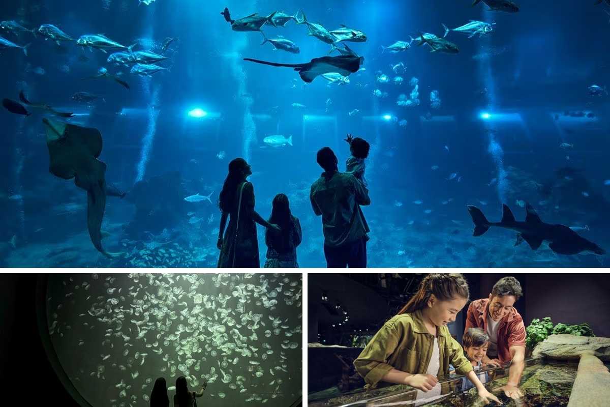 Sentosa Itinerary 2026