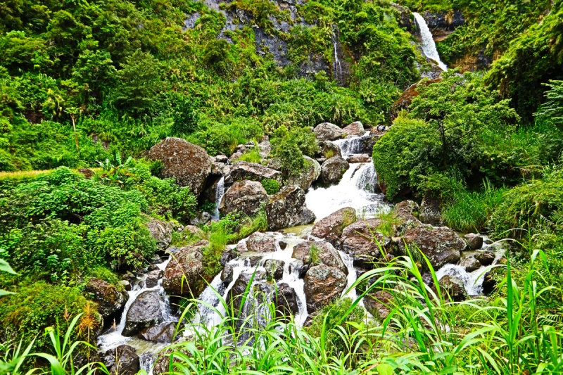 Pongas Falls