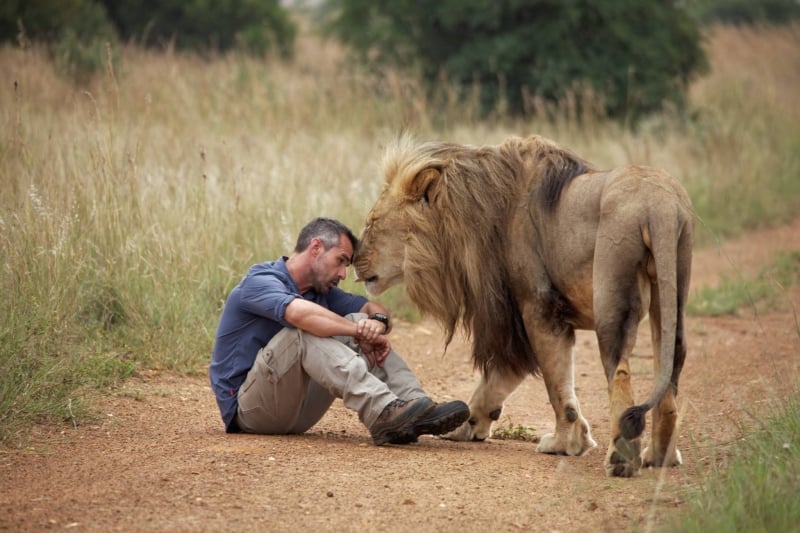 Kevin Richardson - Who is the Lion Whisperer of South Africa?