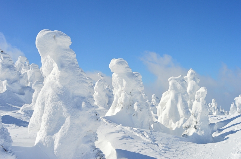 Zao Monsters, places to visit in japan winter