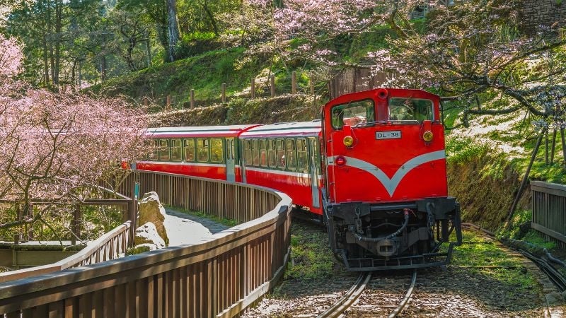 Alishan Forest Railway on the tracks