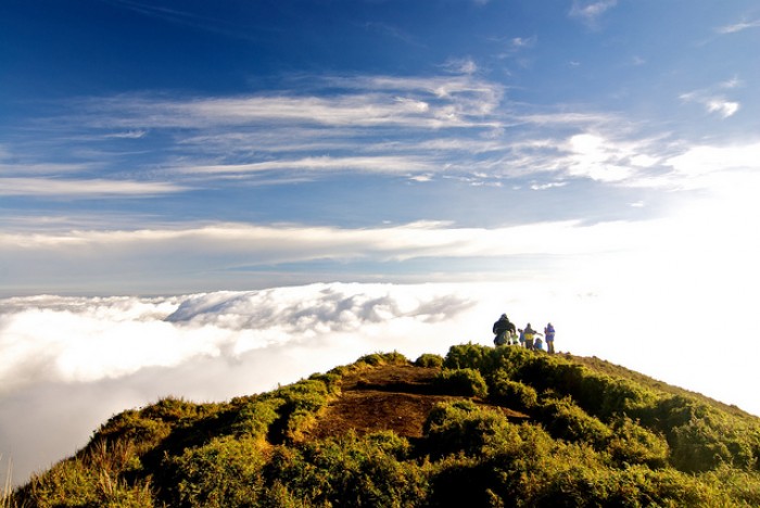 mount pulag