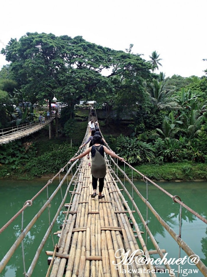 Bamboo Hanging Bridge