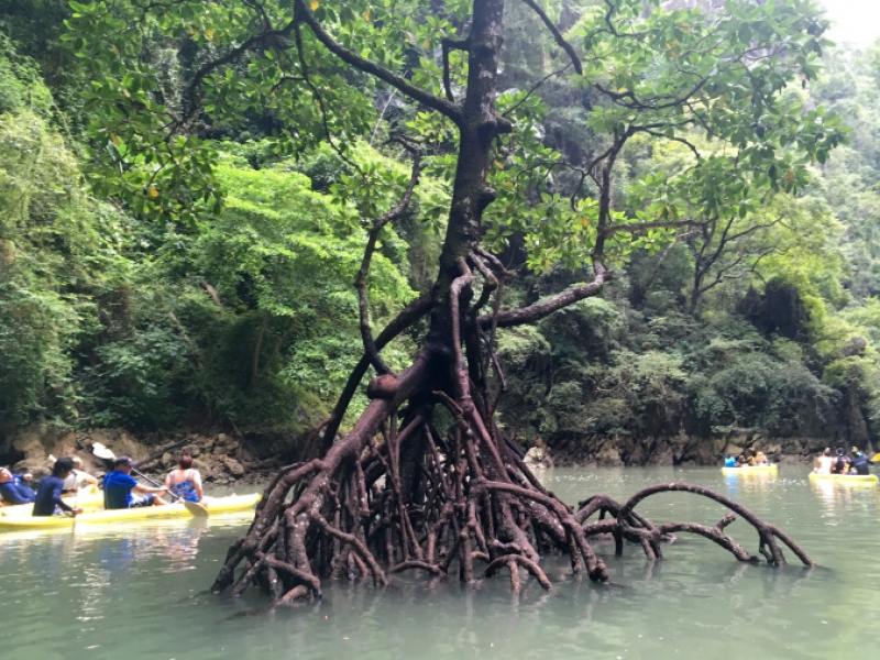 phang nga bay