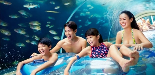 Adventure Cove Waterpark Adult One-Day Ticket + Free Slushie at SGD34