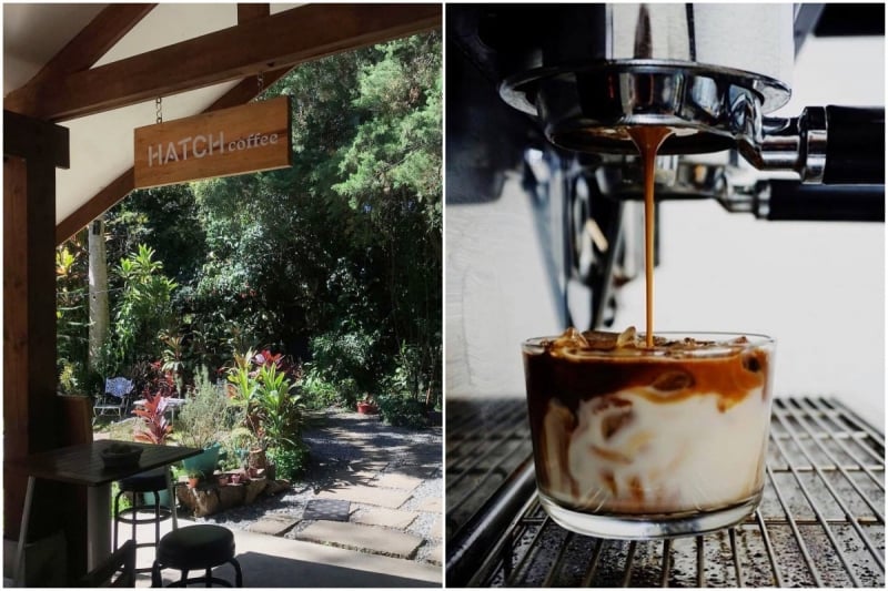 baguio hatch coffee cafes outside manila