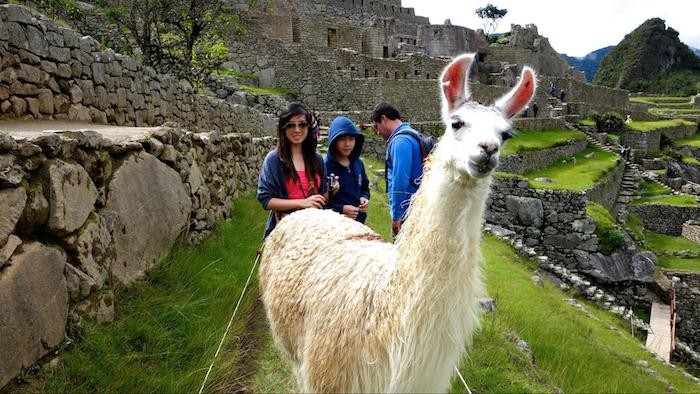 machu picchu peru south america