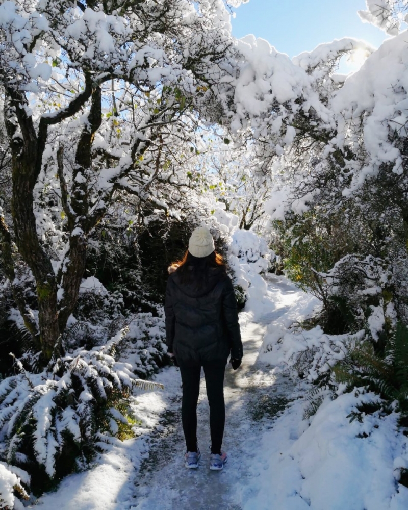 new zealand couple experience