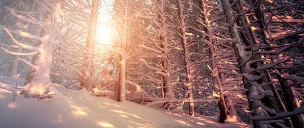 Experience Winter in Europe with Lufthansa from SGD1,320
