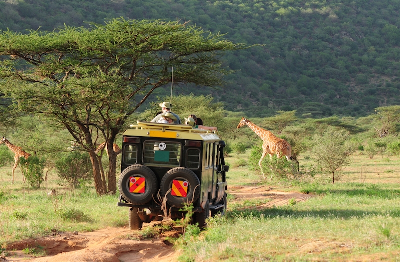choose the right safari