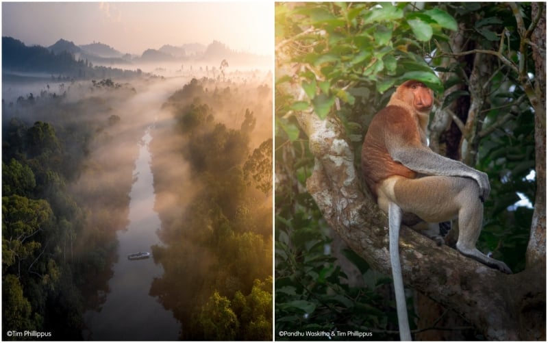 kinabatangan river sabah destinations