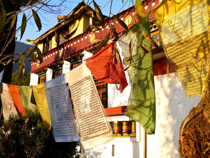 dalai lama in dharamsala