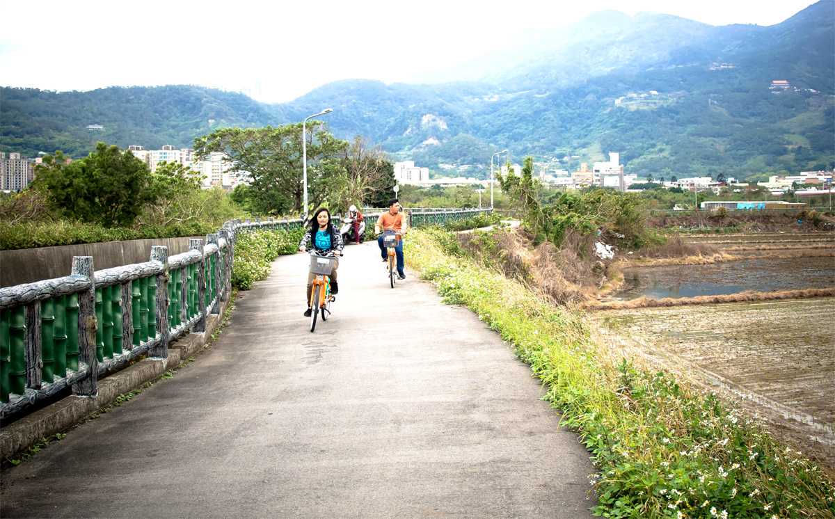 rice paddies while cycling in taipei