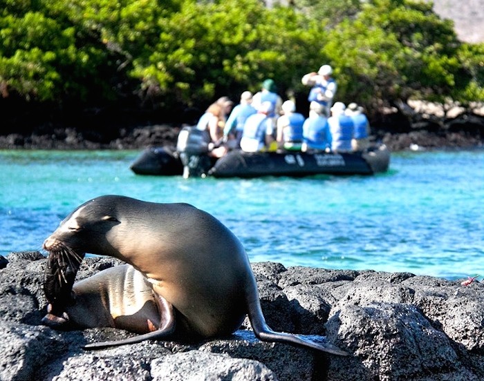 galapagos islands ecuador south america