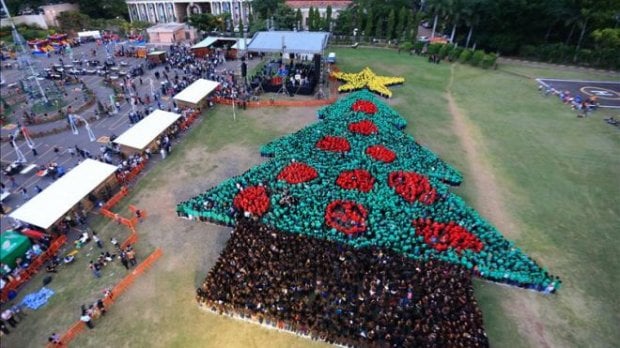 largest human christmas tree