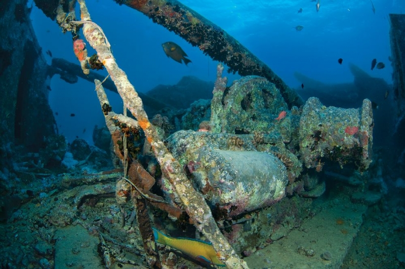 Top 10 Diving Spots In The World To Take Your Breath Away