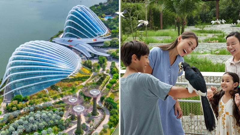 gardens by the bay bird paradise sg60 singapore discount