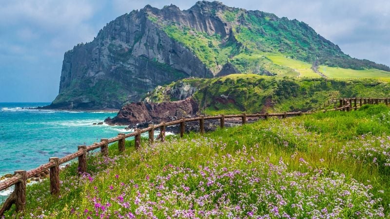 jeju island