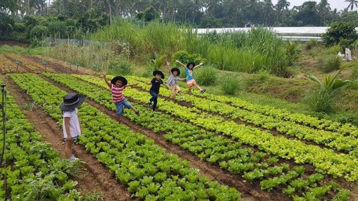 farm experiences near manila