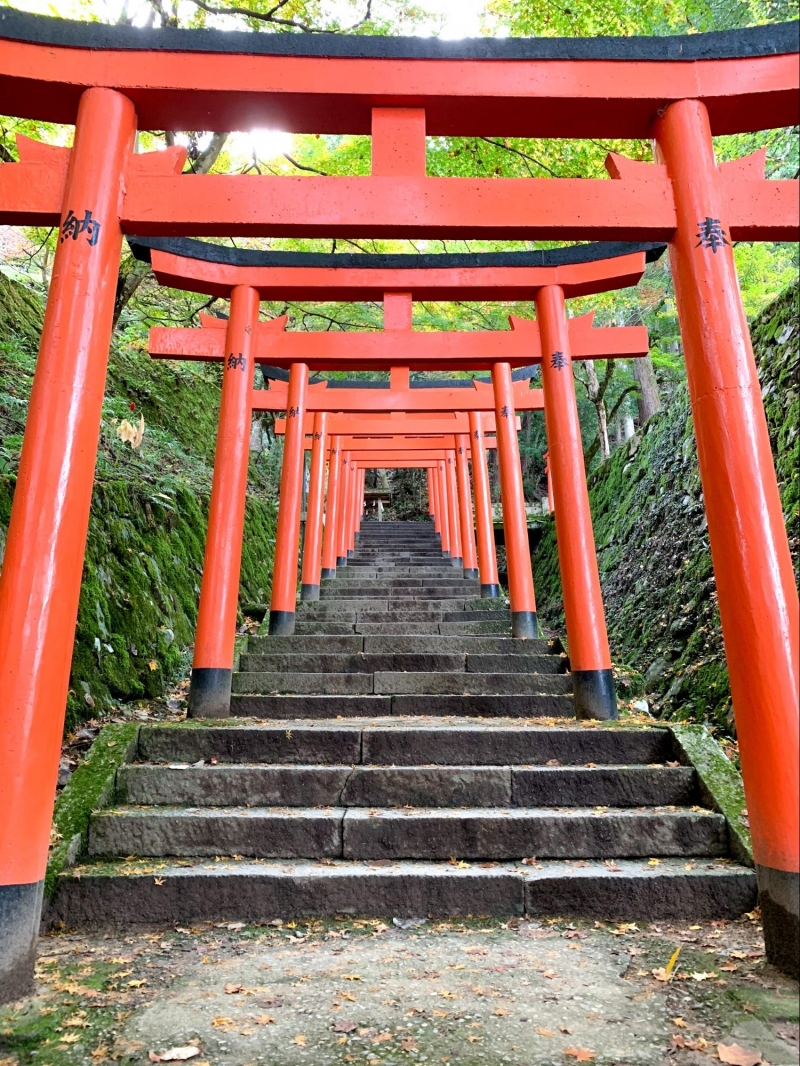 Torii gates at Arikoyama Inari Shrine