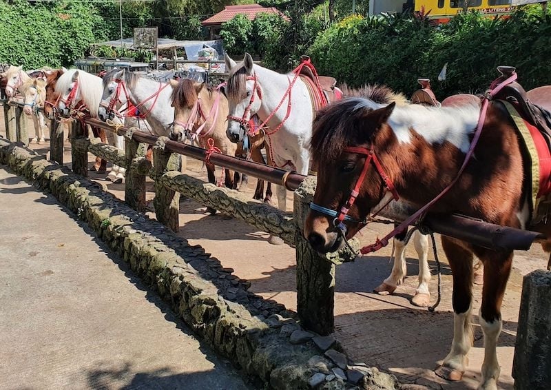 tourist attractions in baguio philippines