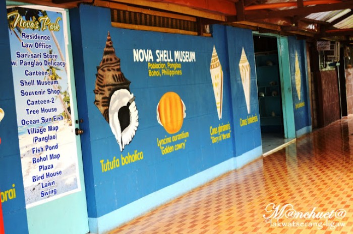 Nova Shell Museum