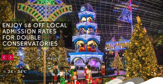 Enjoy SGD4 Off at The Gardens By the Bay this Christmas Season