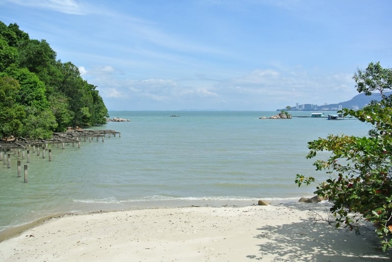 Penang Nature Parks: Penang National Park