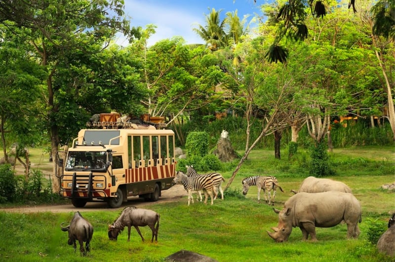 8 Reasons Why Bali Safari & Marine Park Should Be In Your Bali Itinerary | TripZillaSTAYS