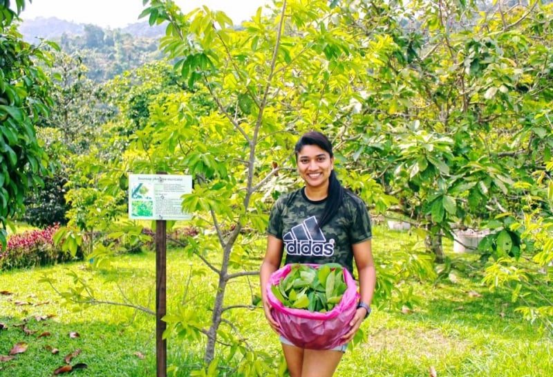 Penang Nature Parks: Penang Tropical Fruit Farm