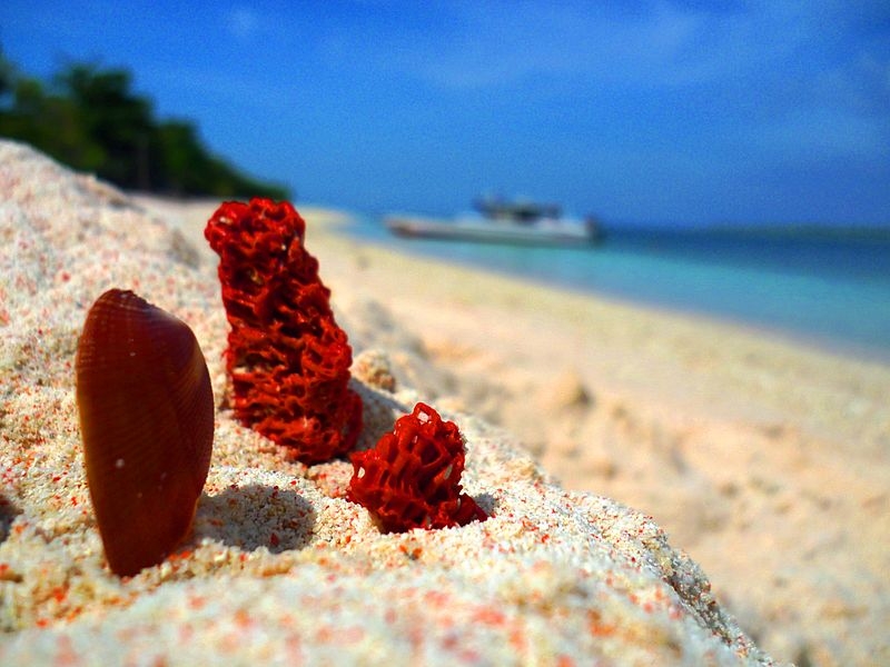 philippine beaches