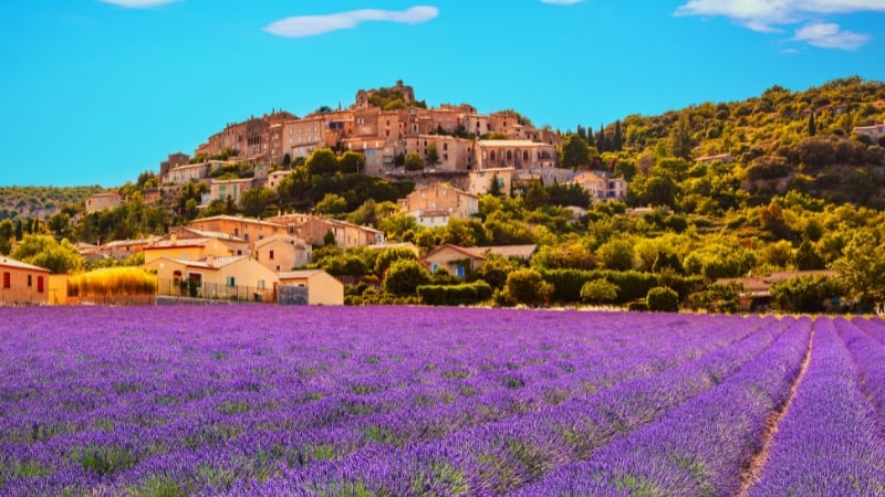 isfp provence france