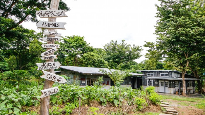 Holy Carabao Holistic Farms