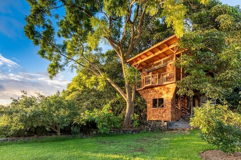 Treehouse Airbnb on the Big Island, Hawaii
