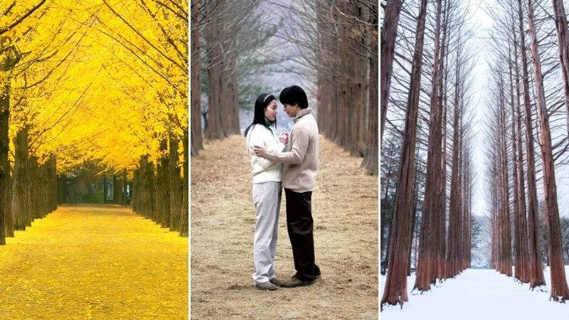 Nami Island - Filming Location of Winter Sonata