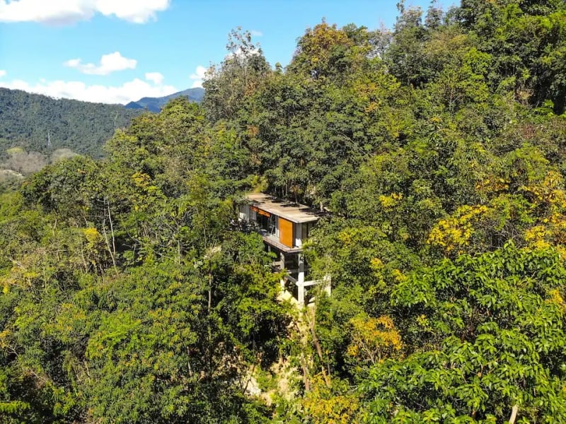 treehouse 树屋 Airbnb
