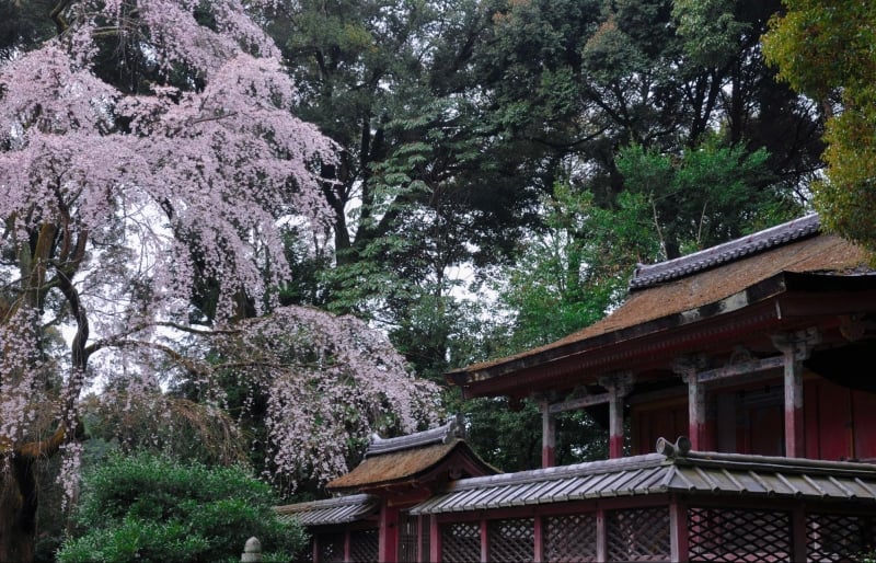 Chùa Daigo Ji