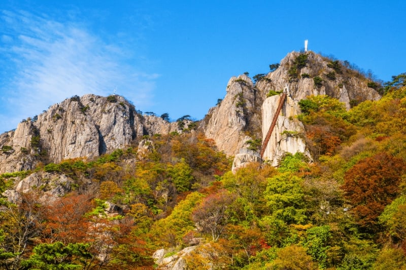 south korea autumn hike