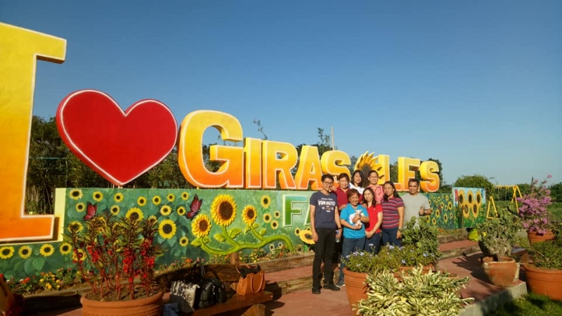 sunflower field quezon province