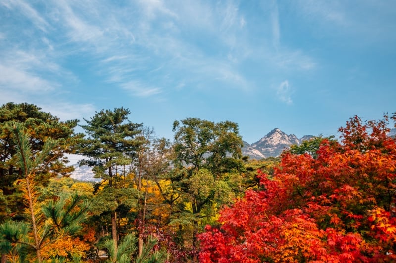 south korea autumn