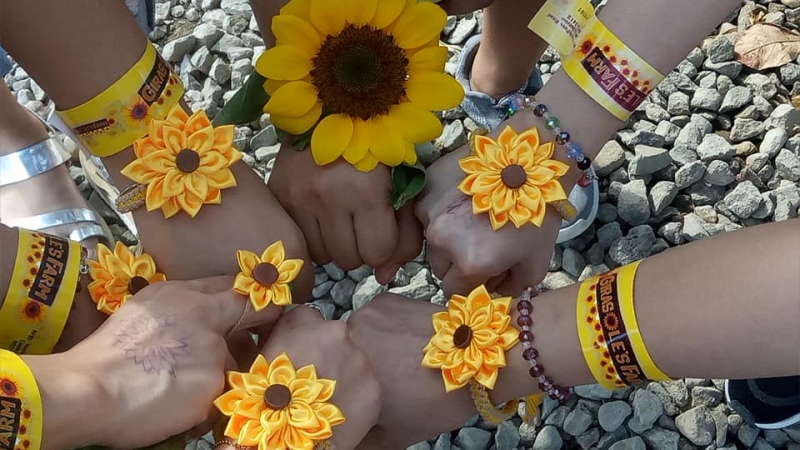 sunflower field quezon province