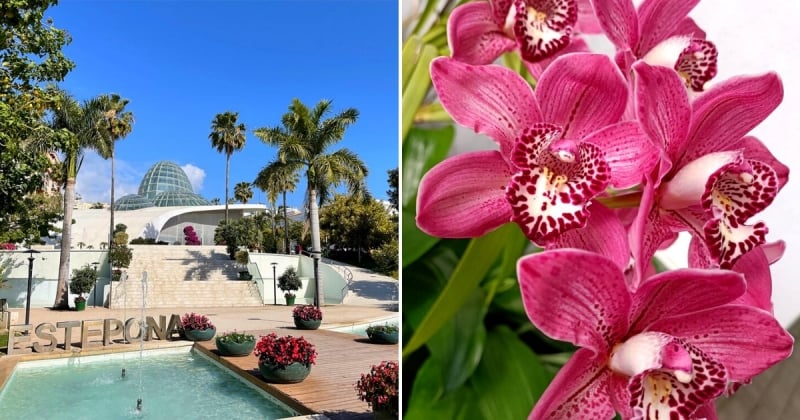 muslim friendly costa del sol orchid house