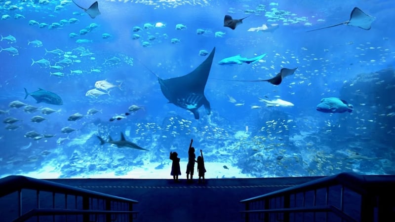 singapore oceanarium