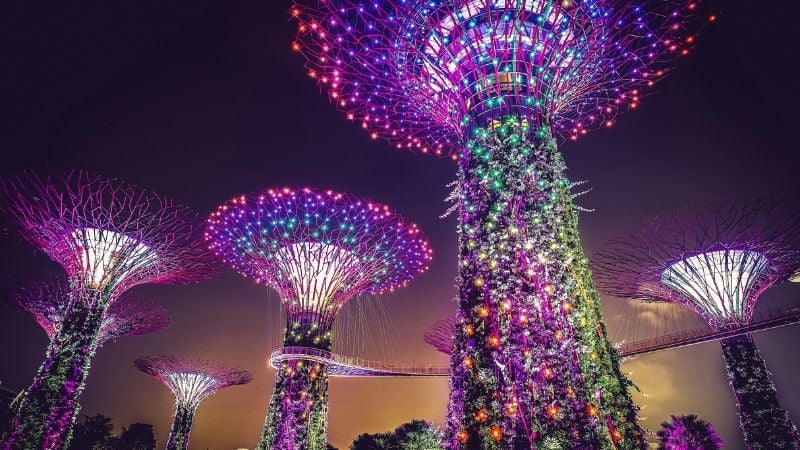 gardens by the bay