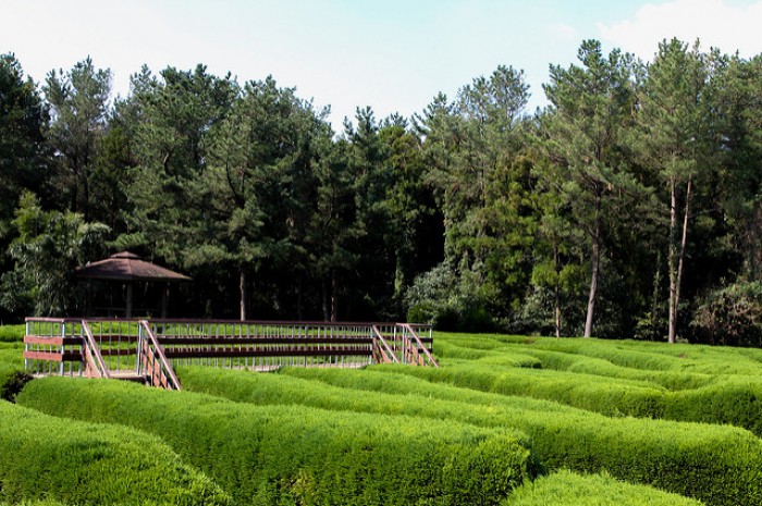 jeju island museums