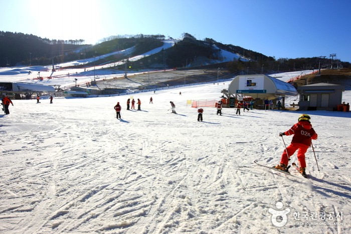 Alpensia Ski Resort